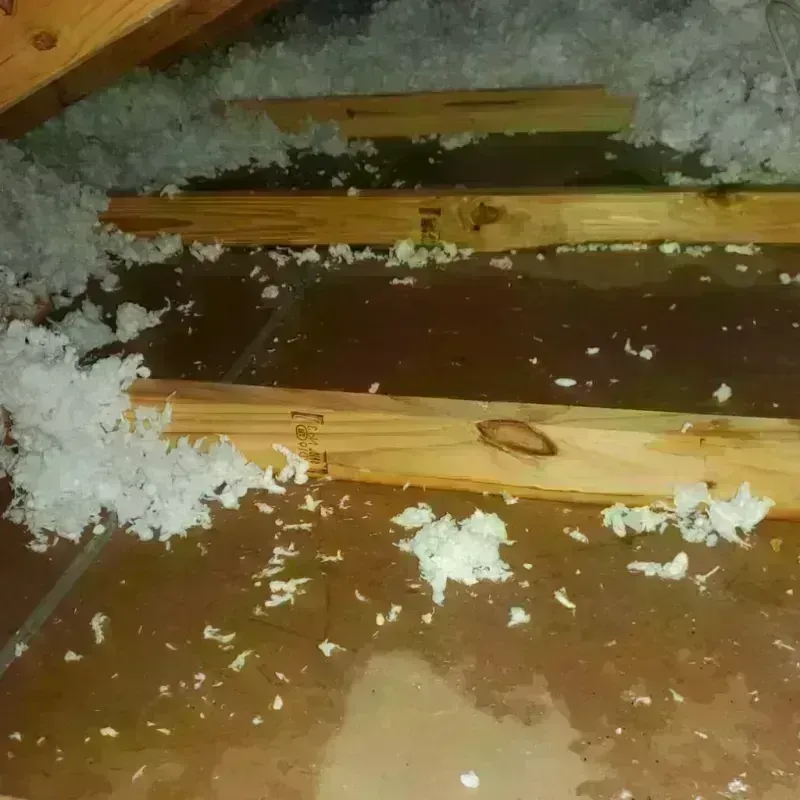 Attic Water Damage in Maringouin, LA